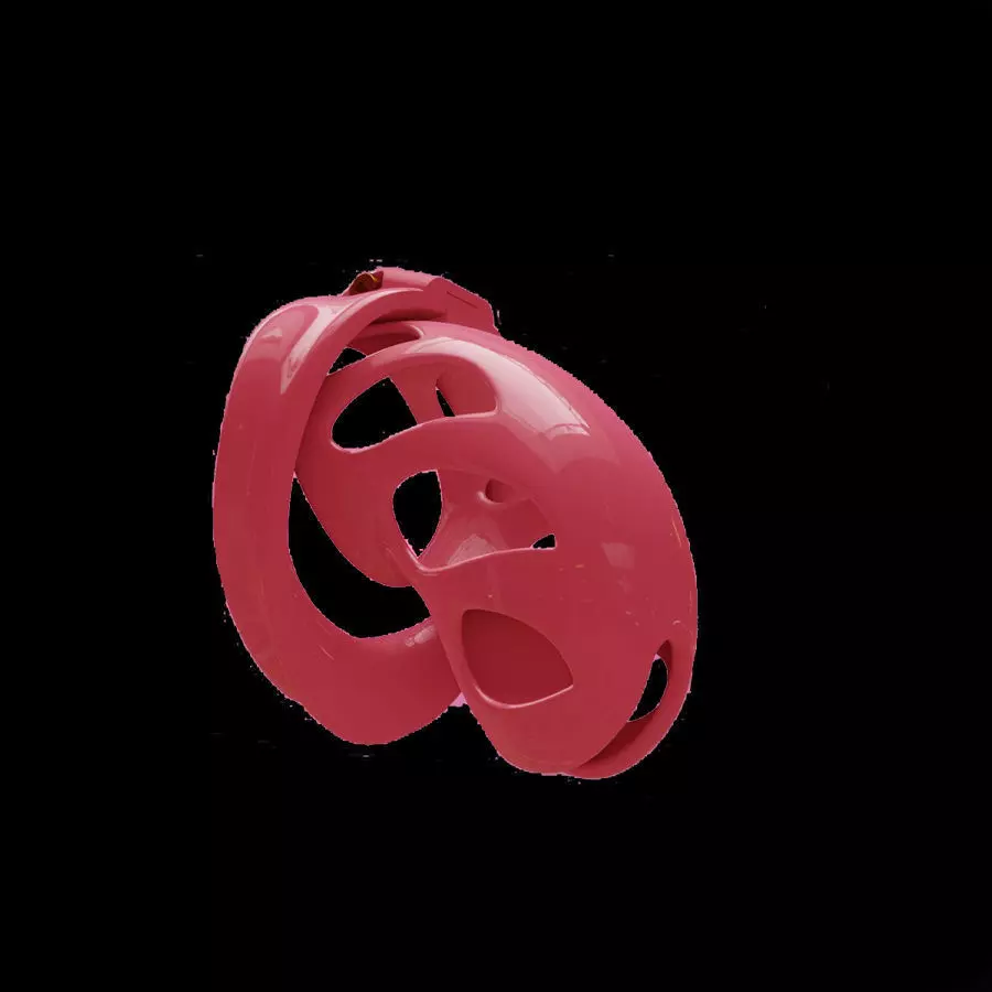 male Chastity Cages  3D print model_0