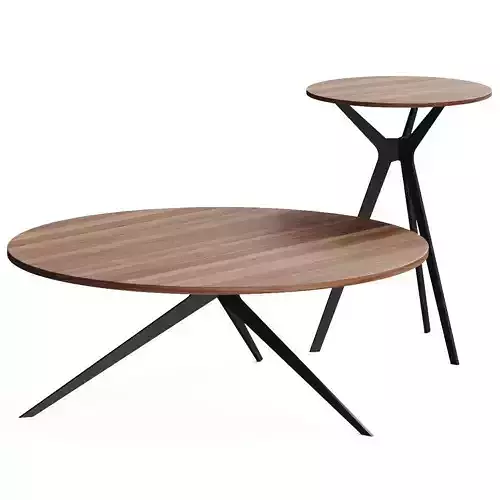 Tonin Casa Tree Coffee Table