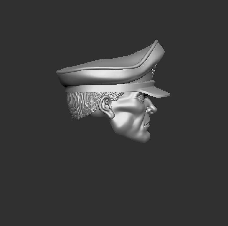 ONE12 Scale Head bison 3D print model_1