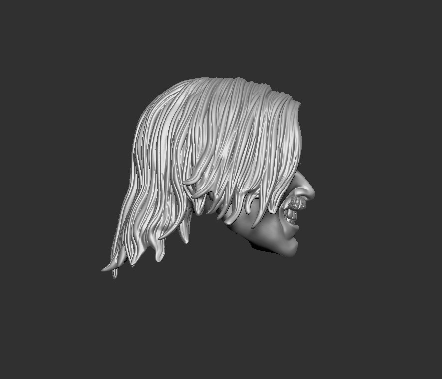 ONE12 Scale Head hugal 3D print model_1