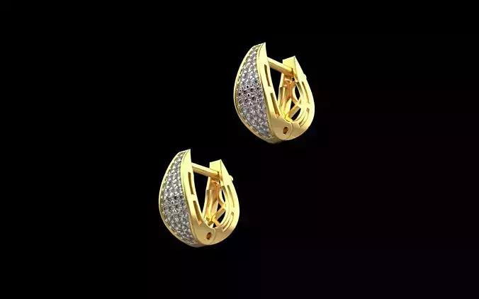 earrings 171223