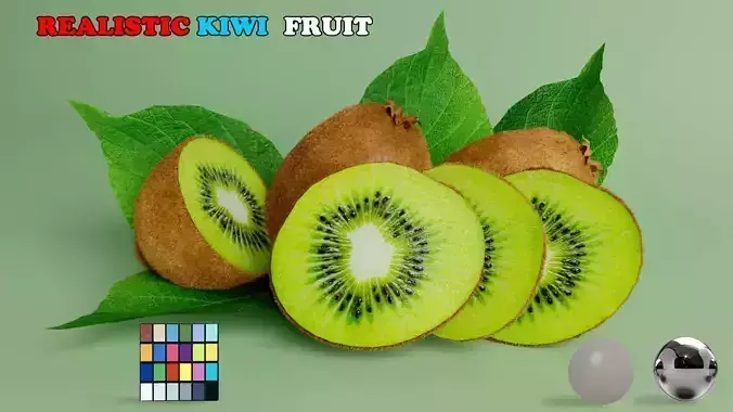 Realistic Kiwi Fruit