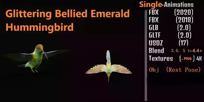 Glittering Bellied Emerald Hummingbird Low-poly 3D model
