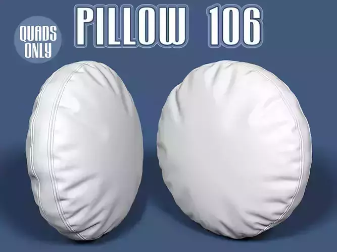 Pillow 106