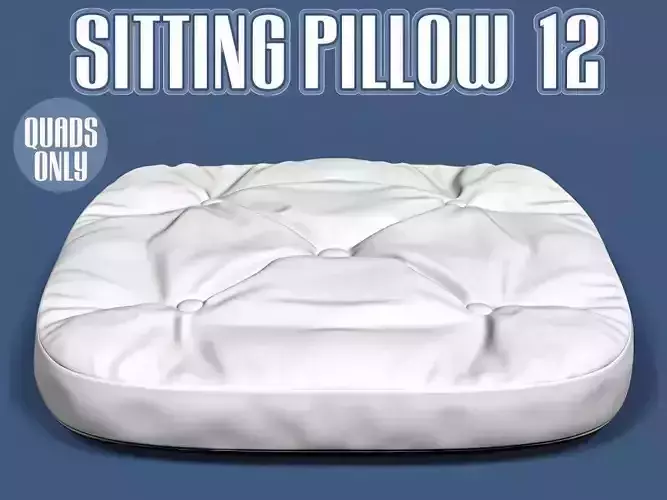 Sitting pillow 12