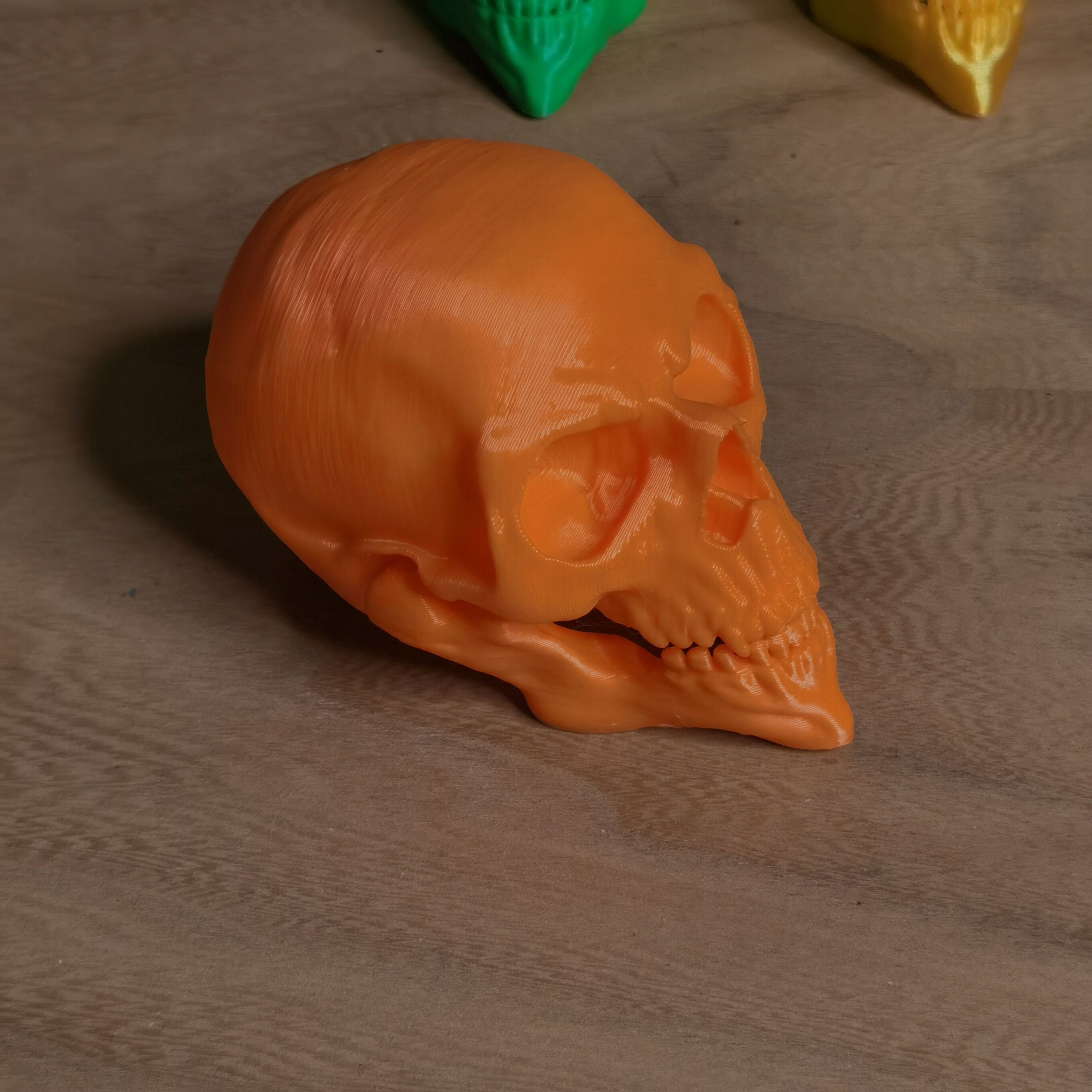 Articulated Skull with Moving Jaw Print in Place No Supports 404 3D print model_5