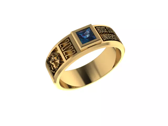 Boise Ring Free 3D print model