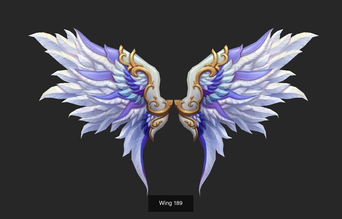 Pack With 25 Wings Part 8 3D Model Collection_27