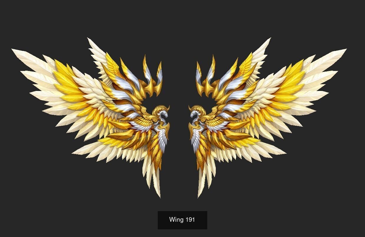 Pack With 25 Wings Part 8 3D Model Collection_25