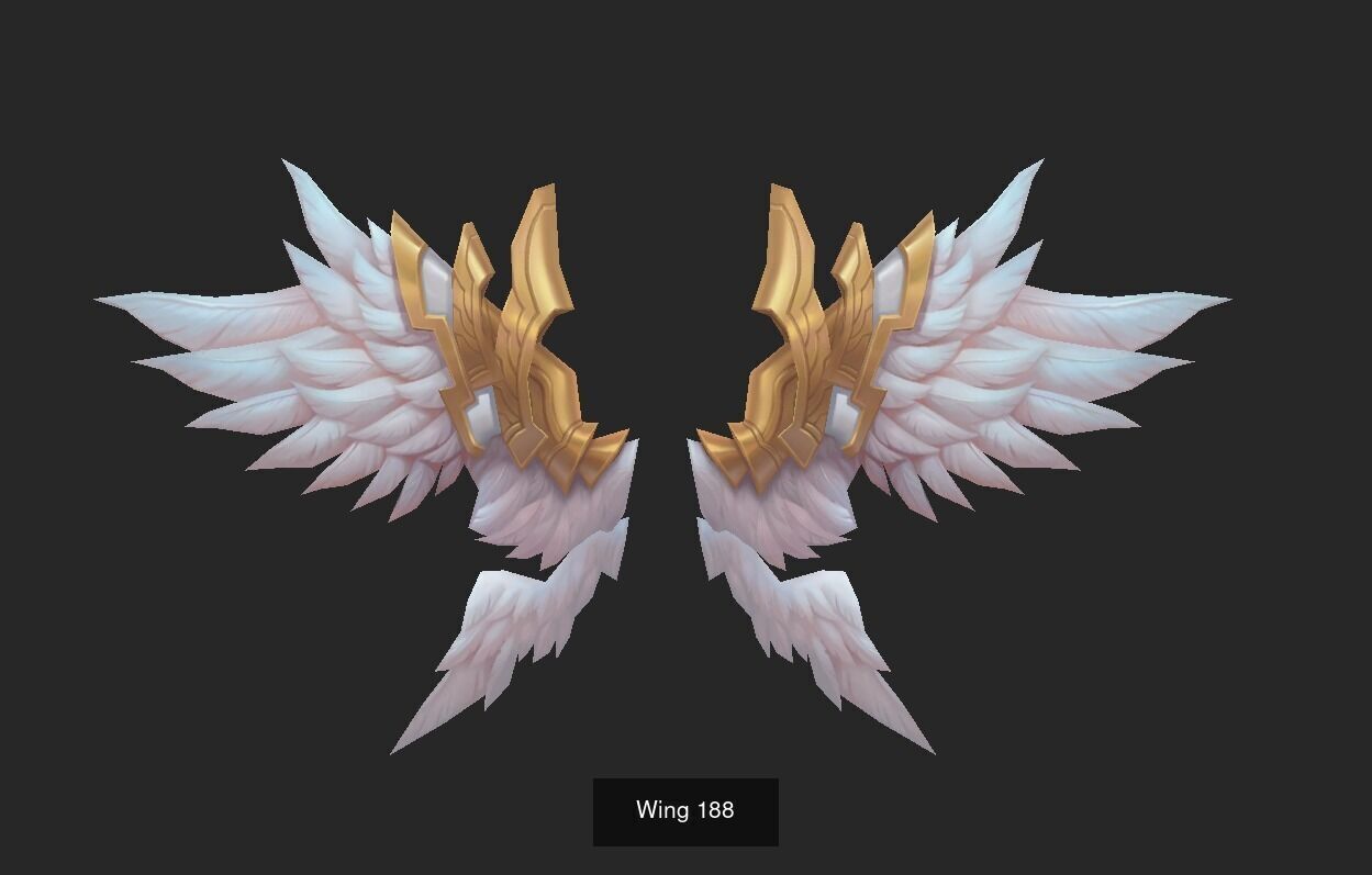 Pack With 25 Wings Part 8 3D Model Collection_28