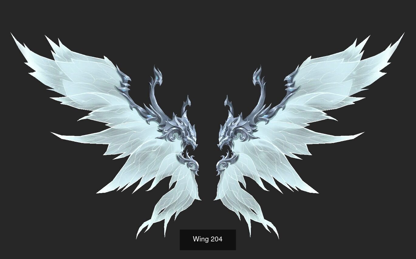 Pack With 25 Wings Part 9 3D Model Collection_26