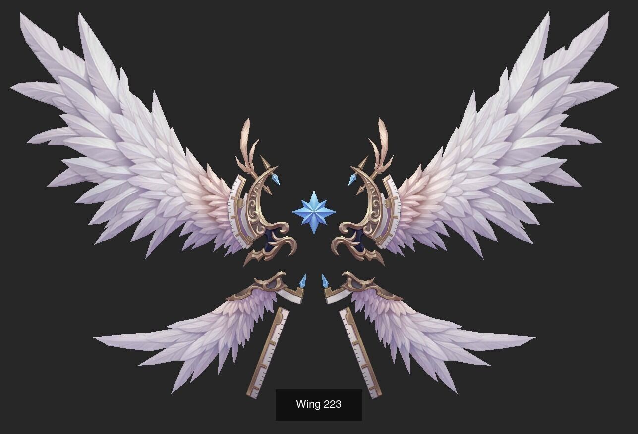 Pack With 25 Wings Part 9 3D Model Collection_7