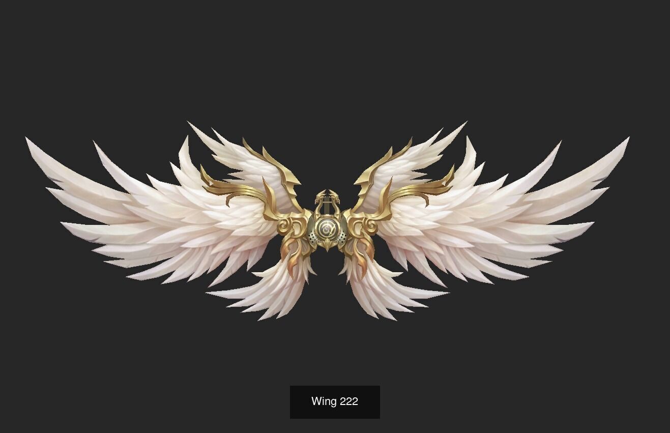 Pack With 25 Wings Part 9 3D Model Collection_8