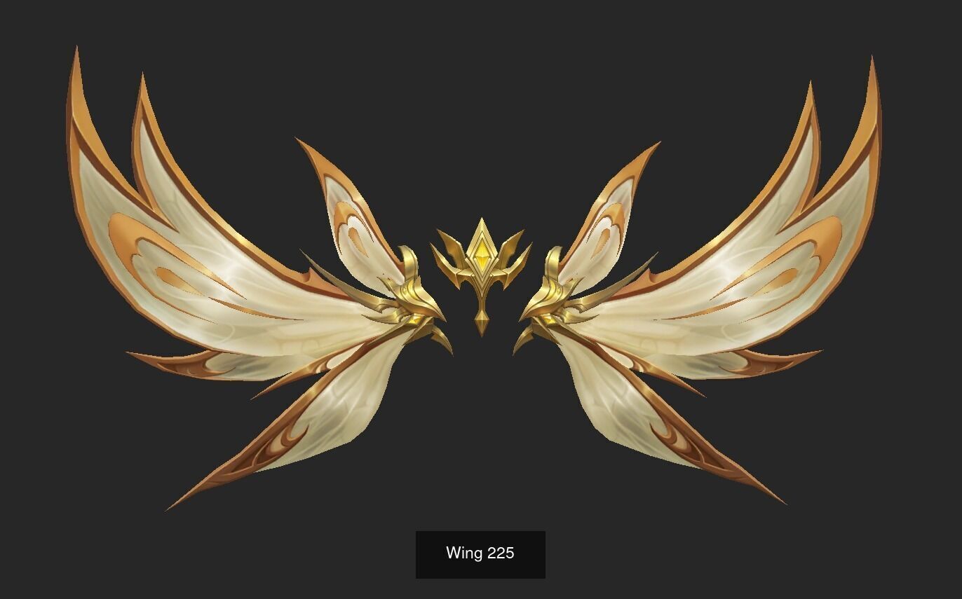 Pack With 25 Wings Part 9 3D Model Collection_5