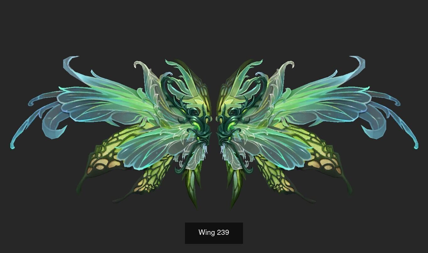 Pack With 25 Wings Part 10 3D Model Collection_15