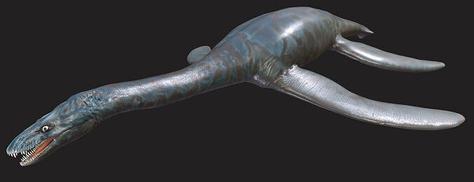 Brancasaurus The Graceful Swimmer of the Early Cretaceous Low-poly 3D model