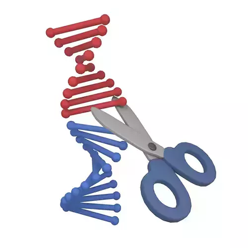 Genome Editing Icon v1 001 Low-poly 3D model