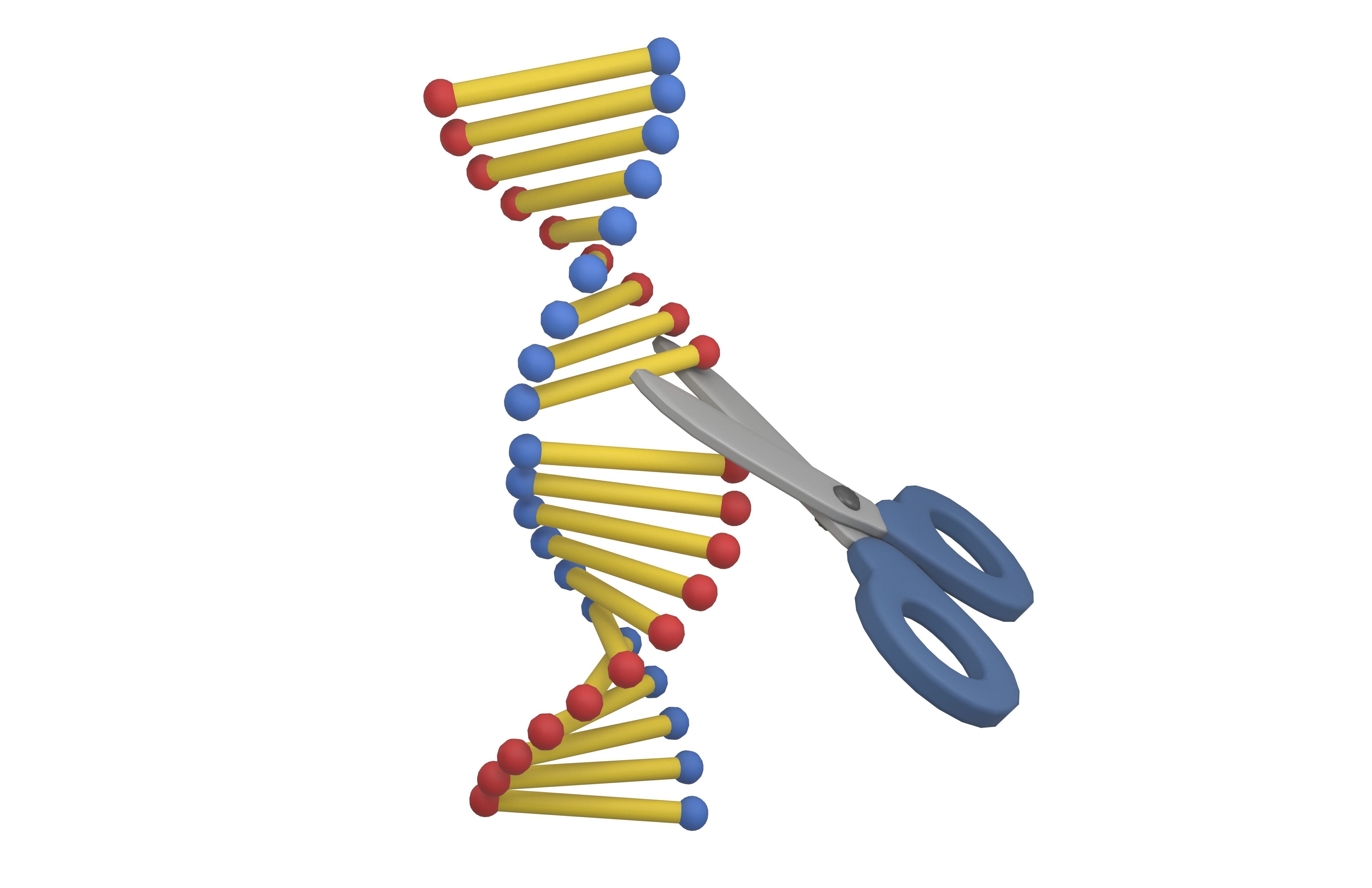Genome Editing Icon v1 002 Low-poly 3D model_2