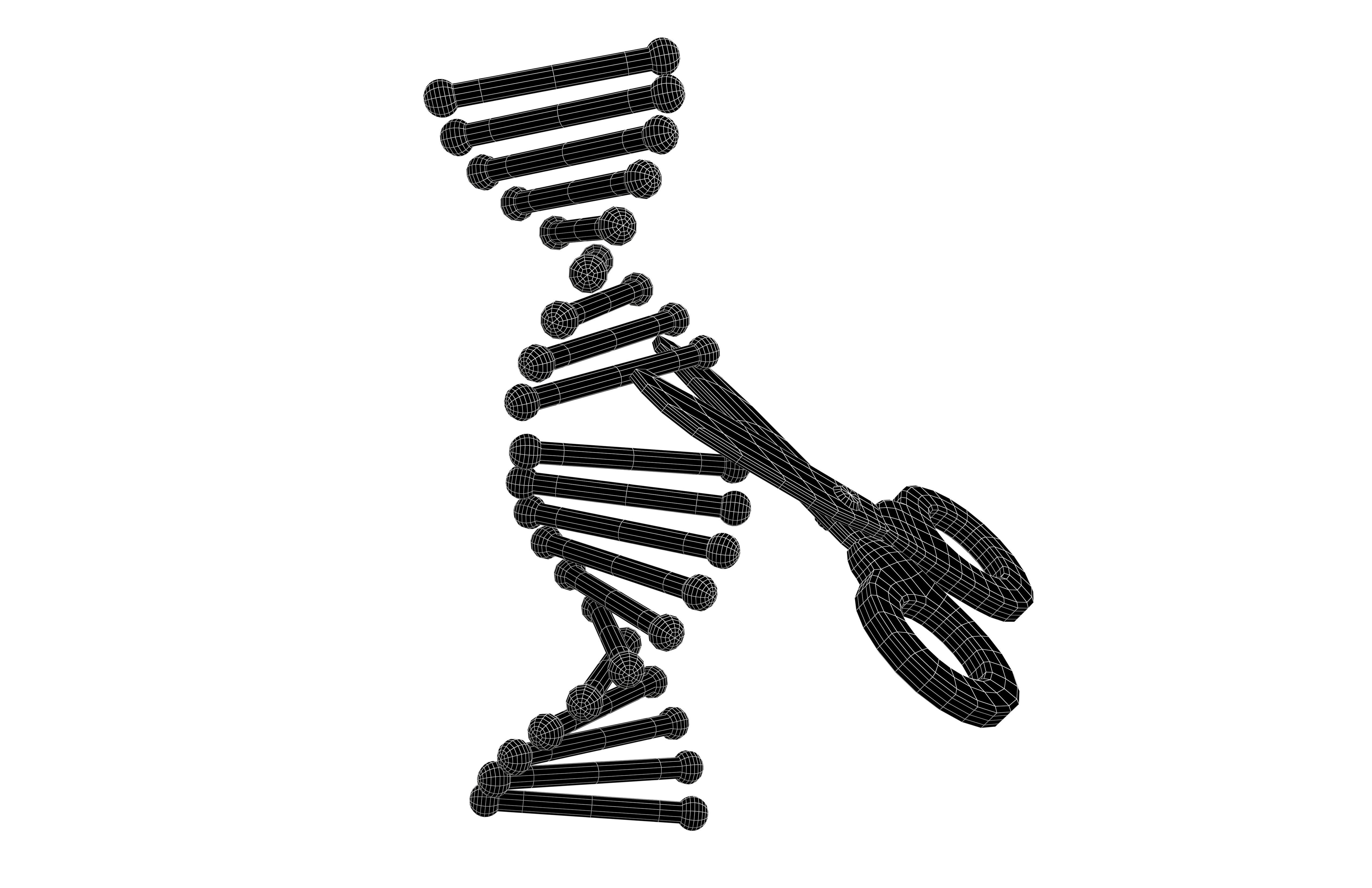 Genome Editing Icon v1 002 Low-poly 3D model_5