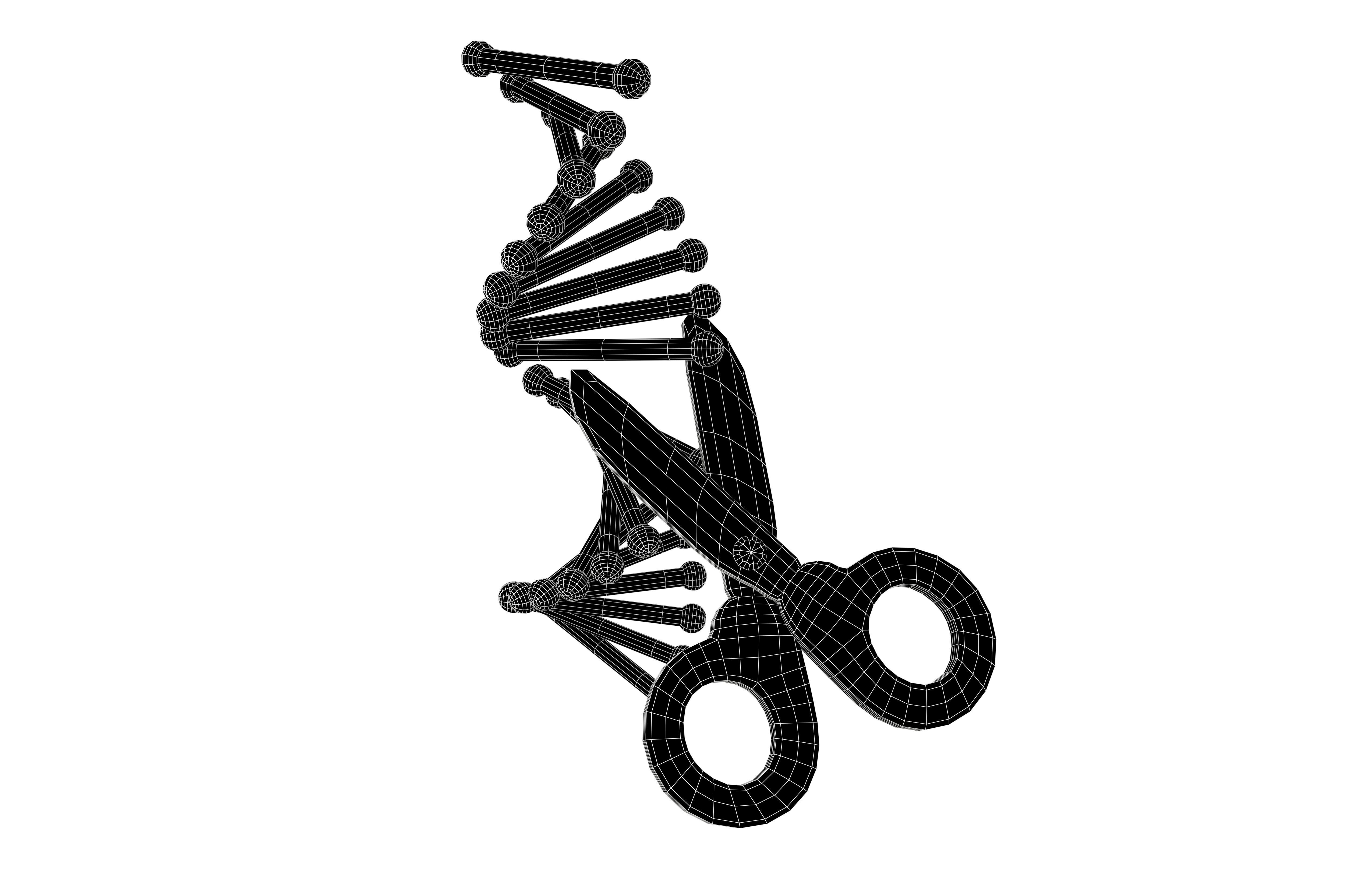 Genome Editing Icon v1 002 Low-poly 3D model_6