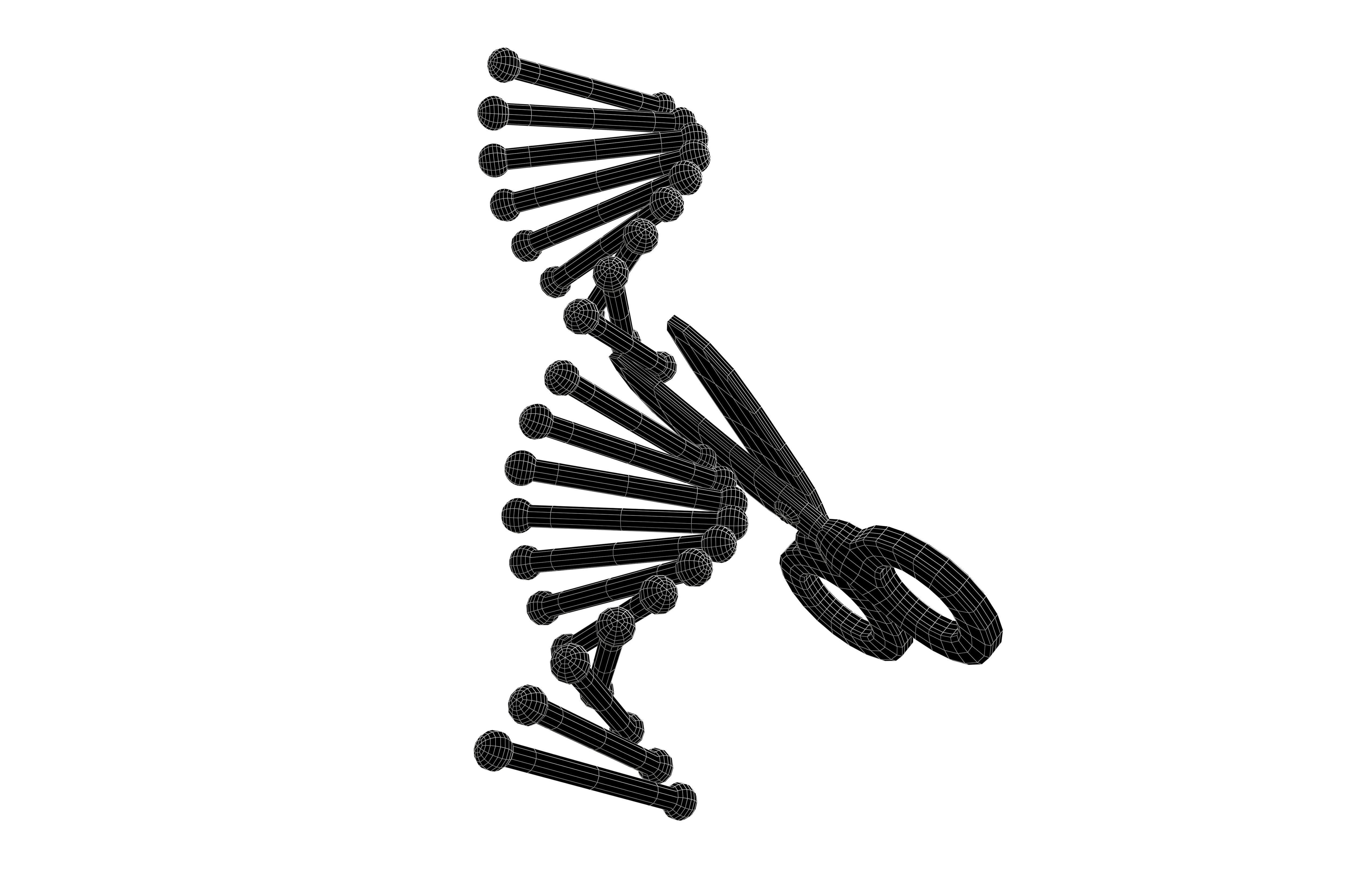 Genome Editing Icon v1 002 Low-poly 3D model_7