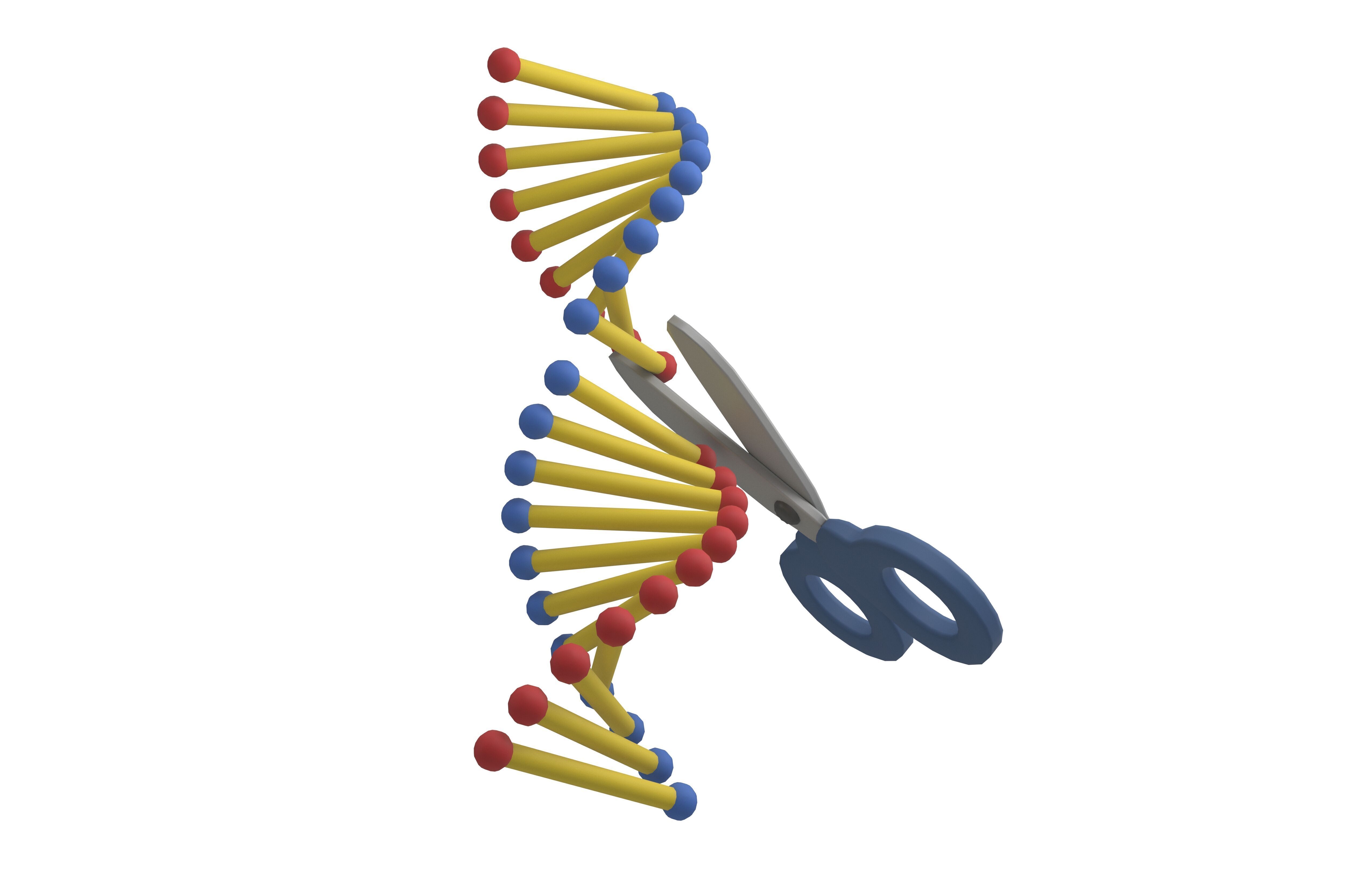 Genome Editing Icon v1 002 Low-poly 3D model_1