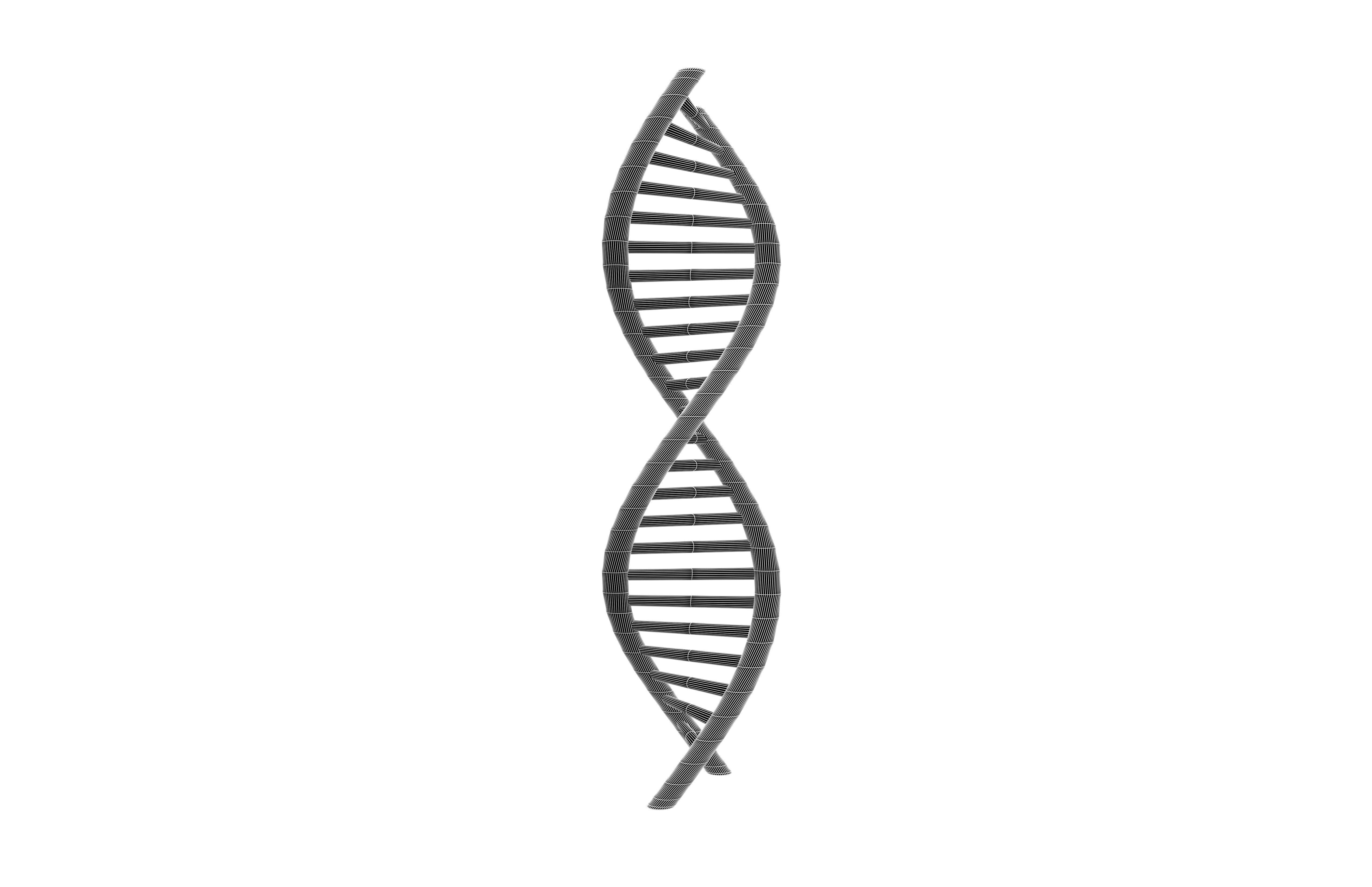 DNA Molecule v2 001 Low-poly 3D model_5
