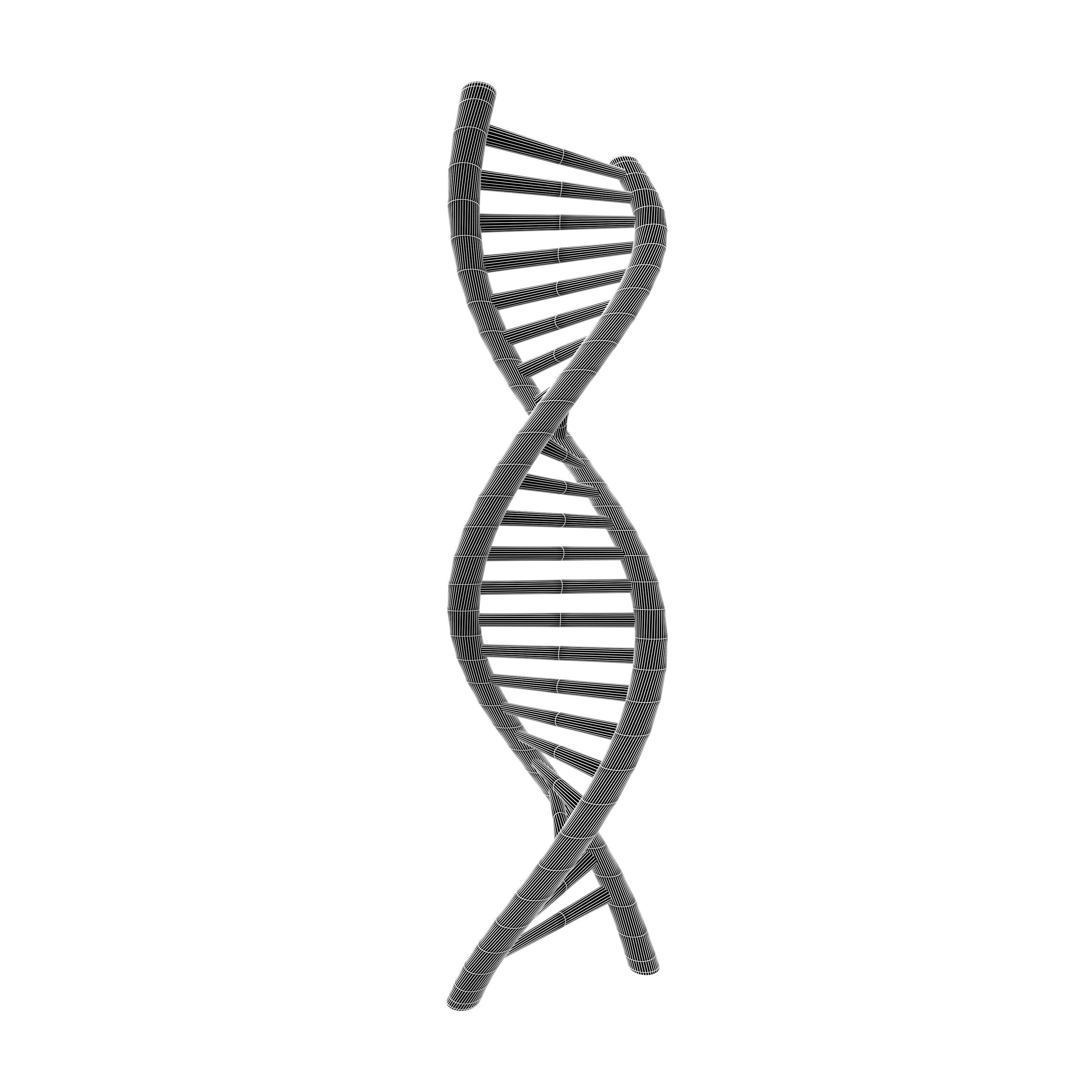 DNA Molecule v2 001 Low-poly 3D model_4