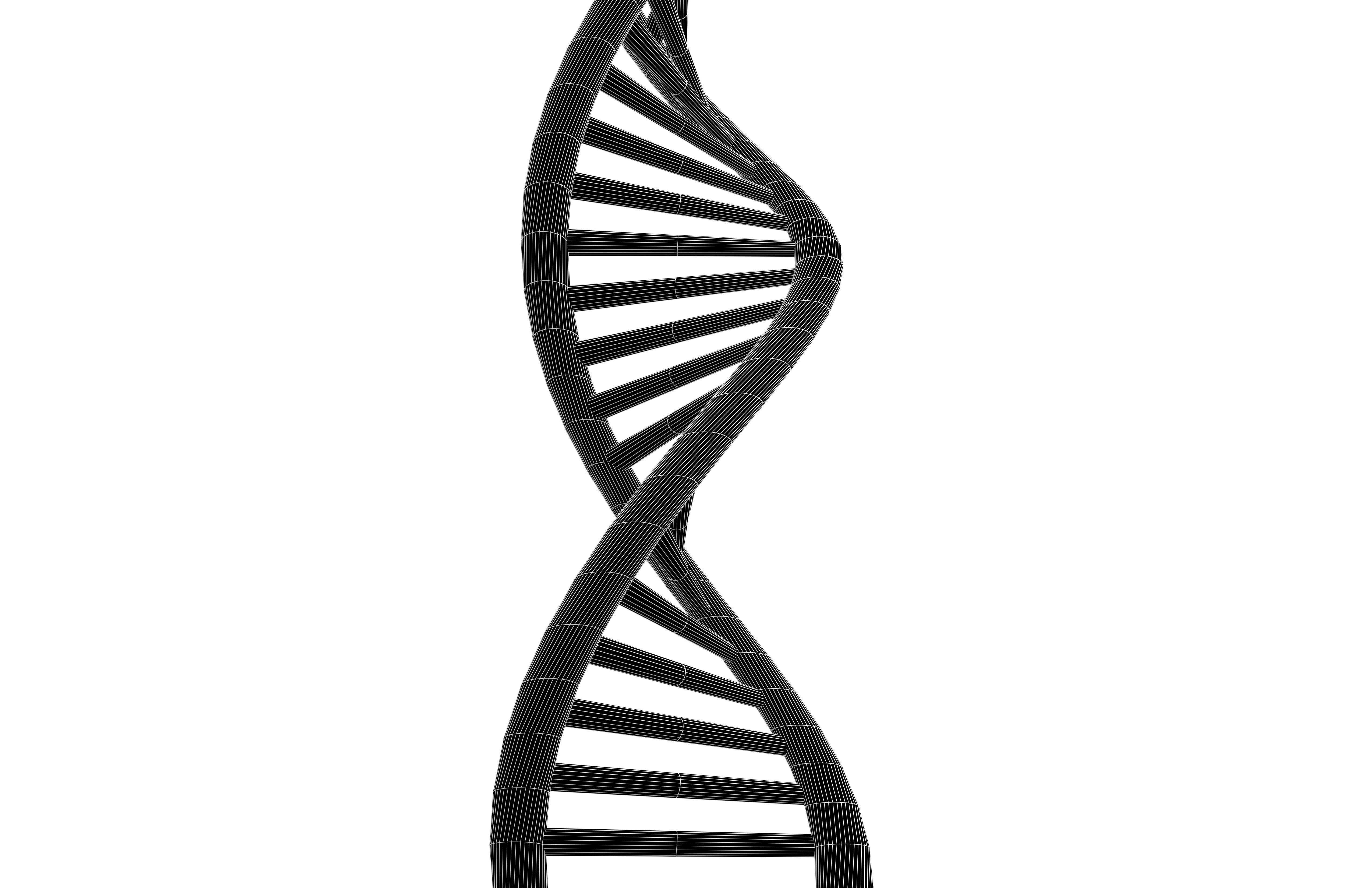 DNA Molecule v2 001 Low-poly 3D model_7