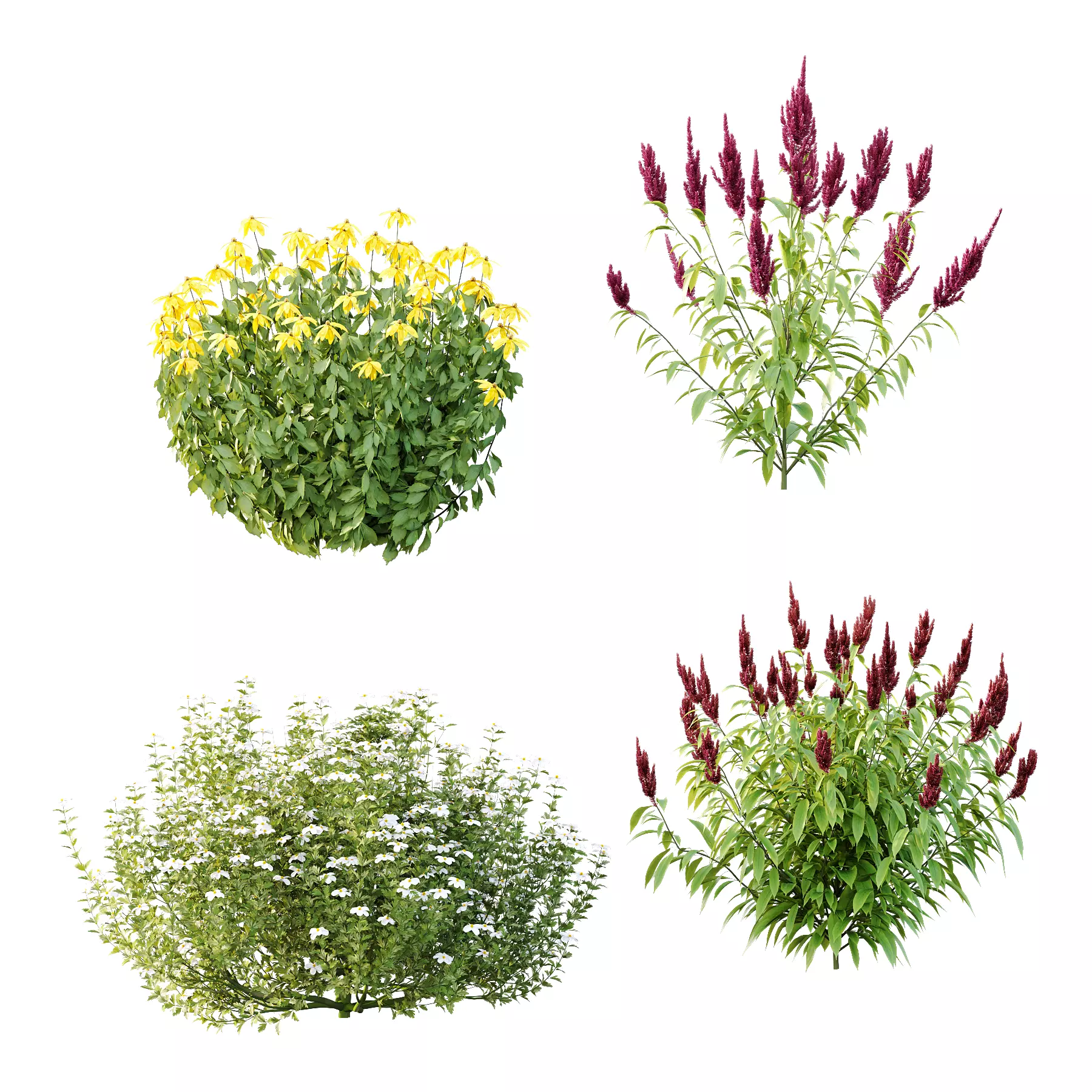 Different bush 08 3D model_0