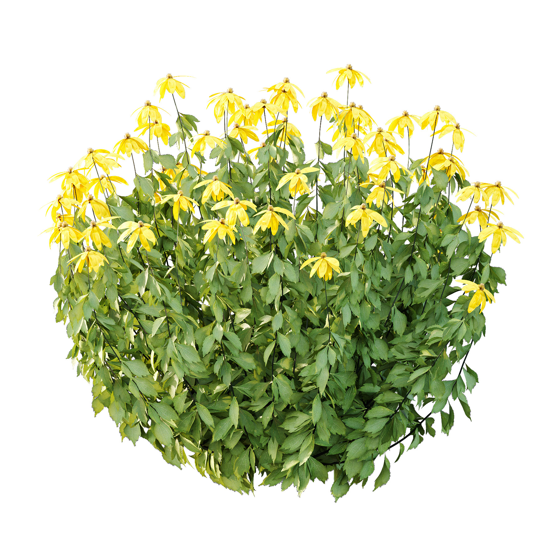 Different bush 08 3D model_1