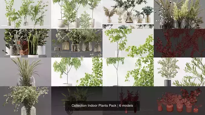 Collection Indoor Plants Pack