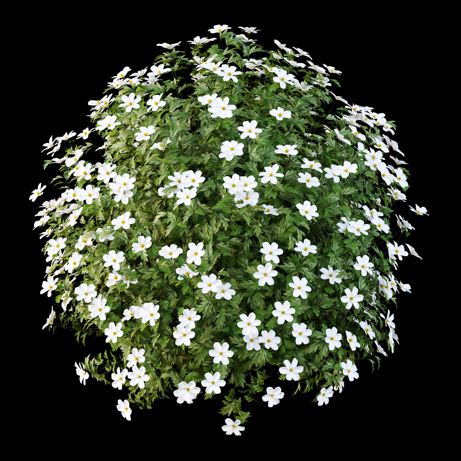 Different bush 09 3D model_3