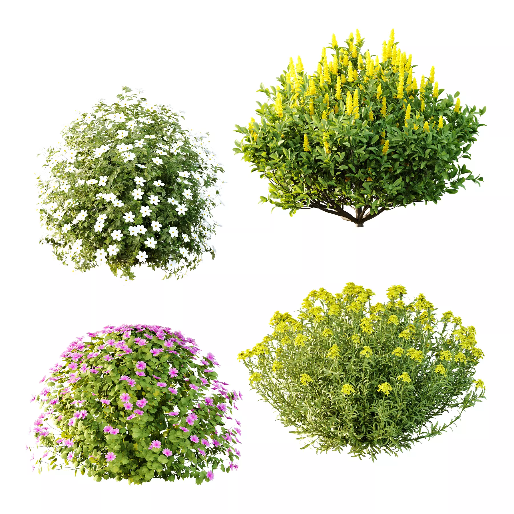 Different bush 09 3D model_0