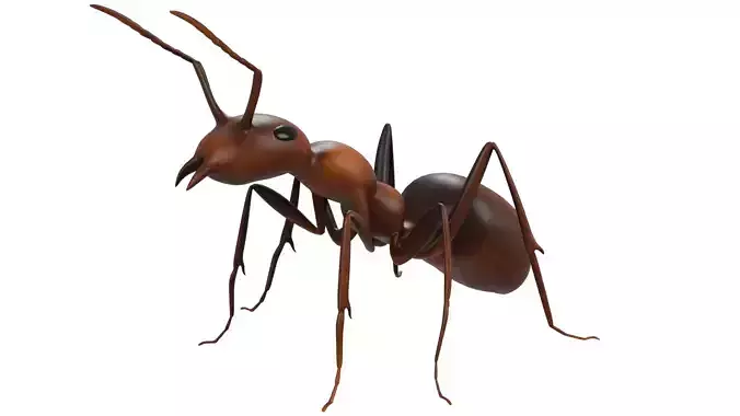 Ant Rigged 3D model