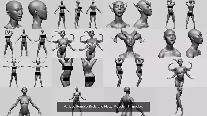 Various Female Body and Head Models 3D Model Collection