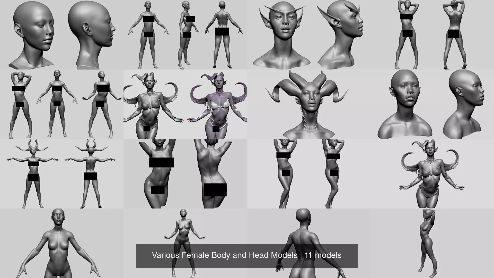 Various Female Body and Head Models 3D Model Collection_0