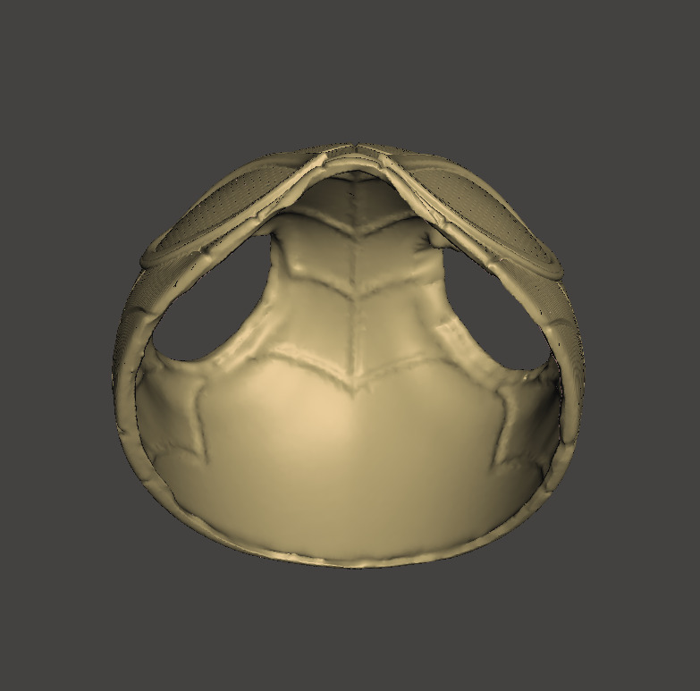 SPIDER CAT mask - PETER PARKER - mascara del spider cat 3D print model_4