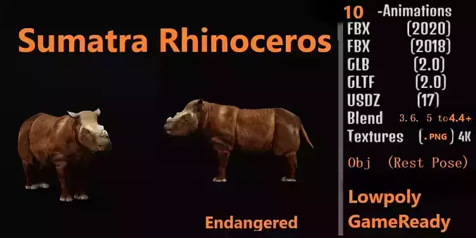 Sumatran Rhinoceros Low-poly 3D model