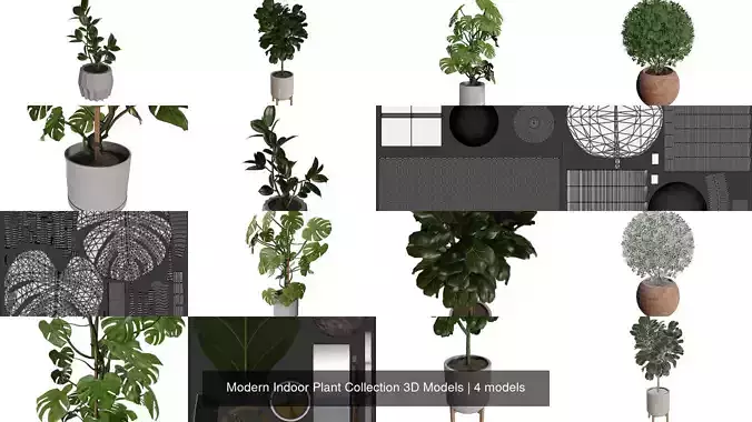 Modern Indoor Plant Collection 3D Models