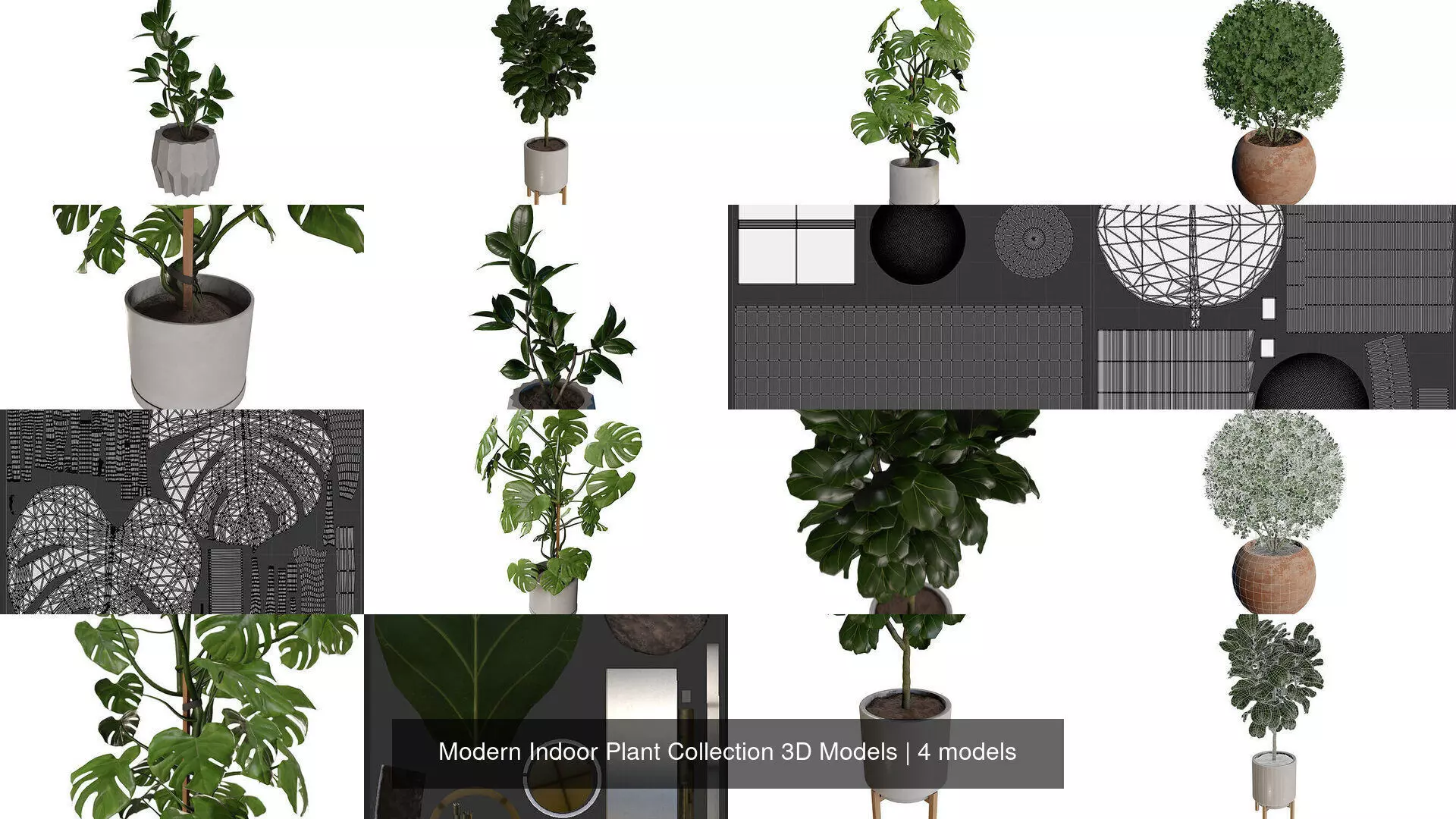 Modern Indoor Plant Collection 3D Models _5