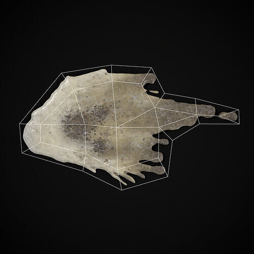 Bird Poop Pack Low-poly 3D model 6