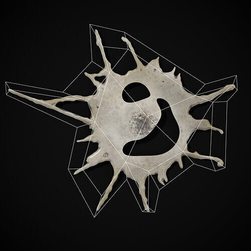 Bird Poop Pack Low-poly 3D model 4