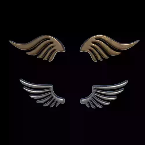Eagle Wing 02 3D model