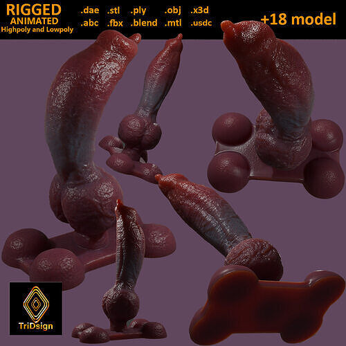 Knotplug Dog Penis Rigged Lowpoly and Highpoly Low-poly 3D model