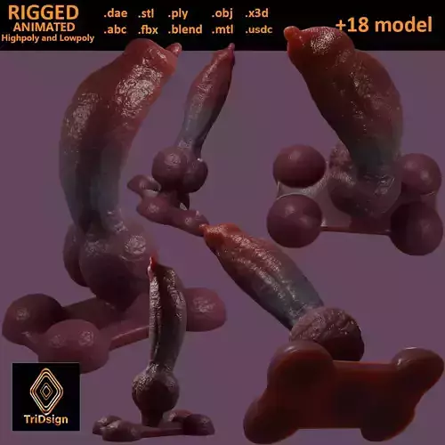 Knotplug Dog Penis Rigged Lowpoly and Highpoly Low-poly 3D model