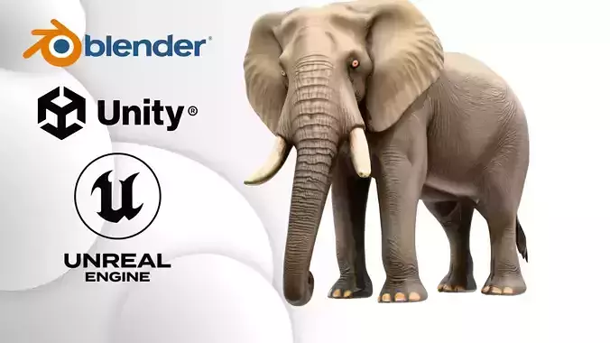 Realistic African Elephant Low-poly 3D model