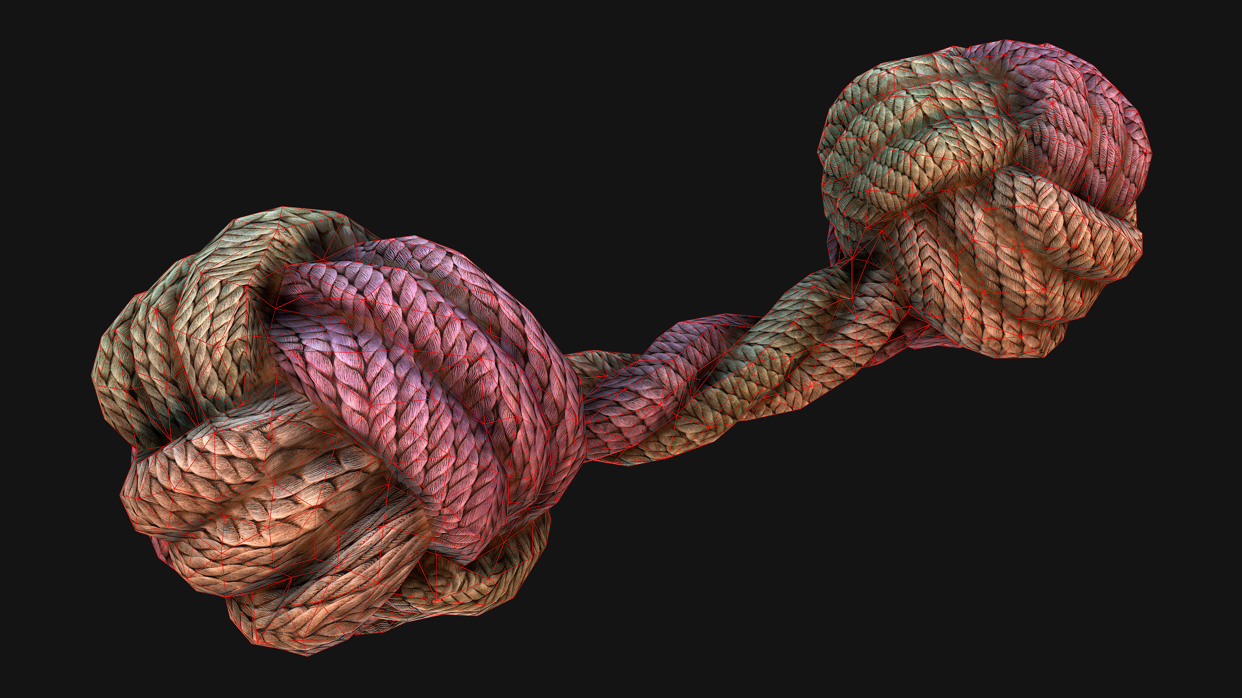 Pets Cats and Dogs Rope Dumbbell for Gnawing Chew Toy Low-poly 3D model_20