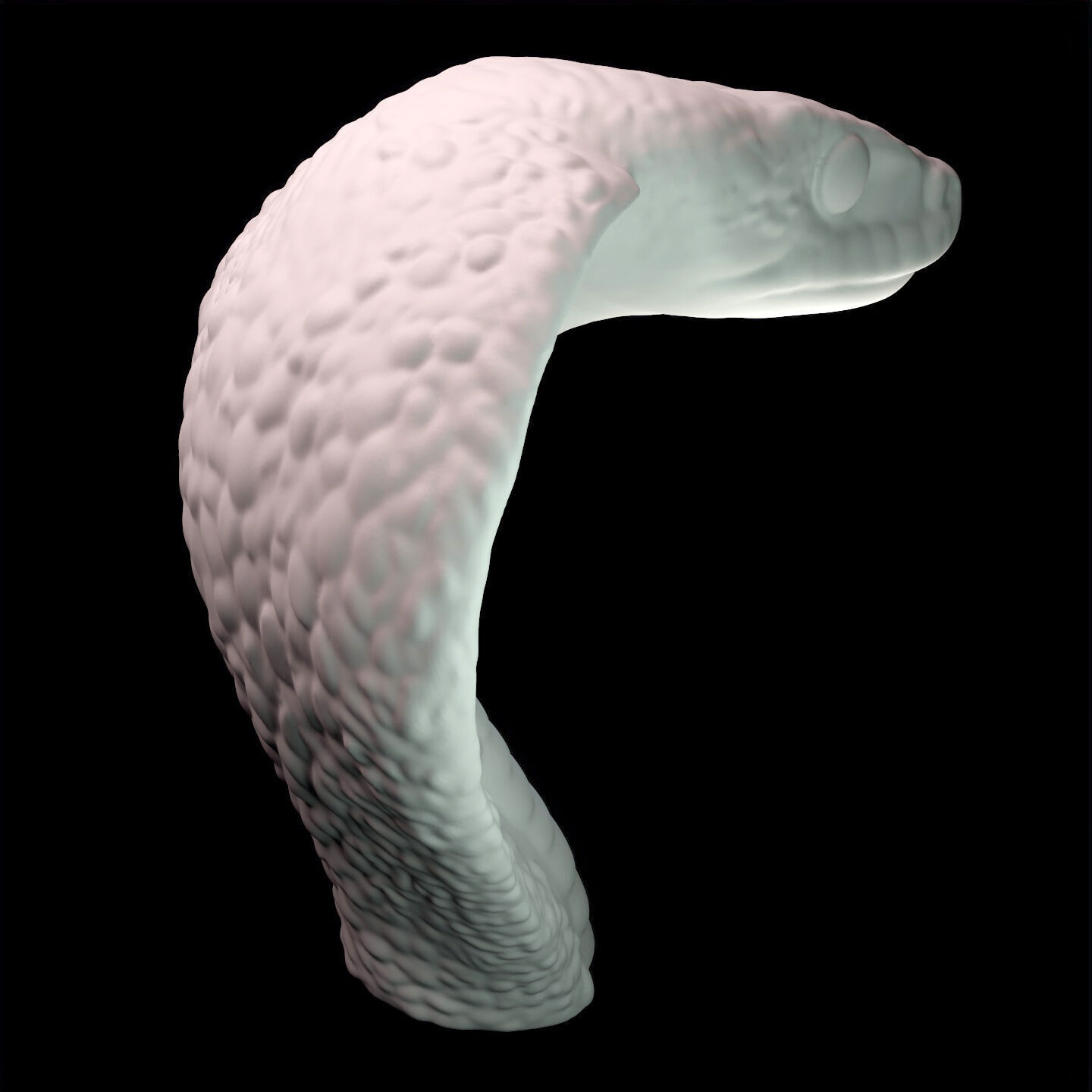 Coiled Snake Form Stylized Serpent Sculpture 3D print model_8