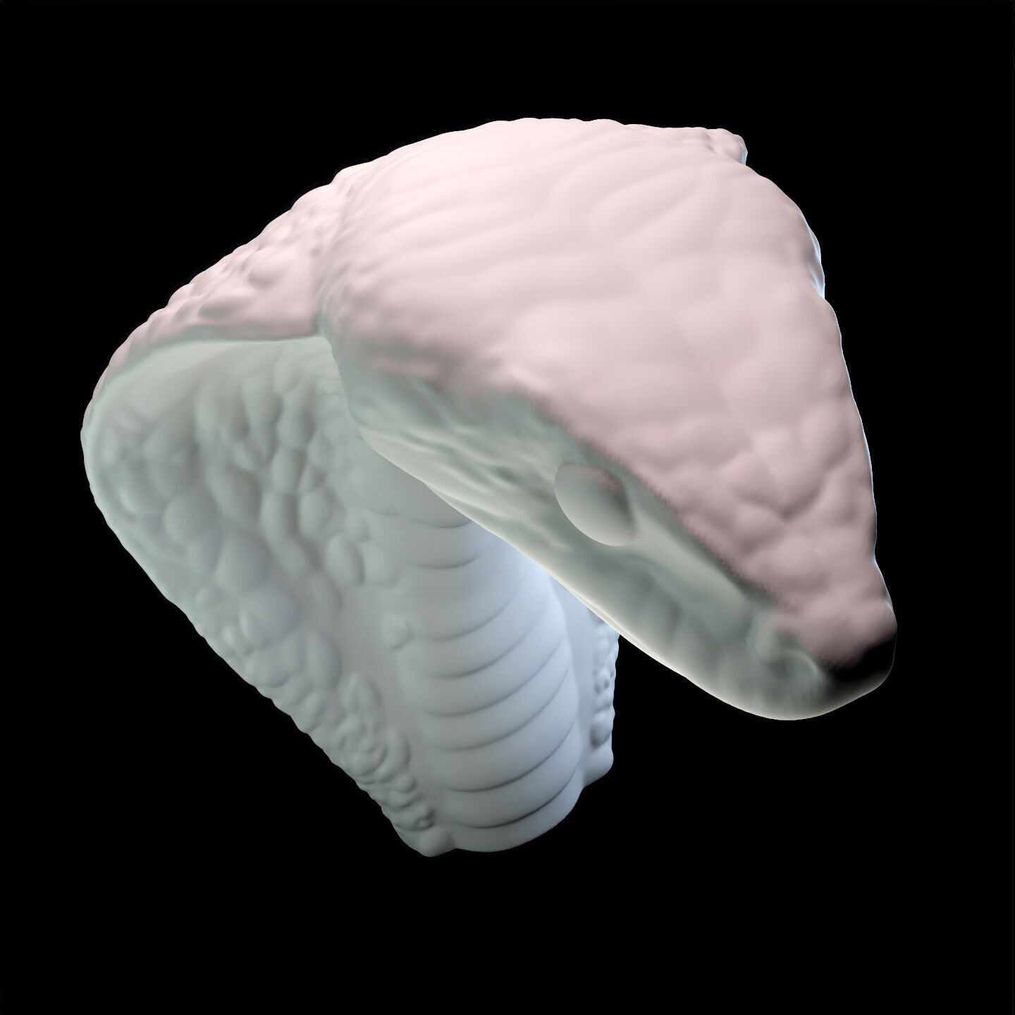 Coiled Snake Form Stylized Serpent Sculpture 3D print model_9